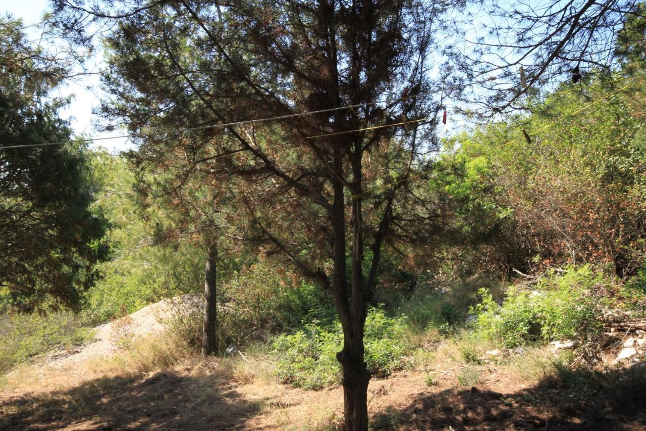 Secluded Fisherman'S Cottage Cove Ripisce, Dugi Otok - 394 Brbinj Extérieur photo